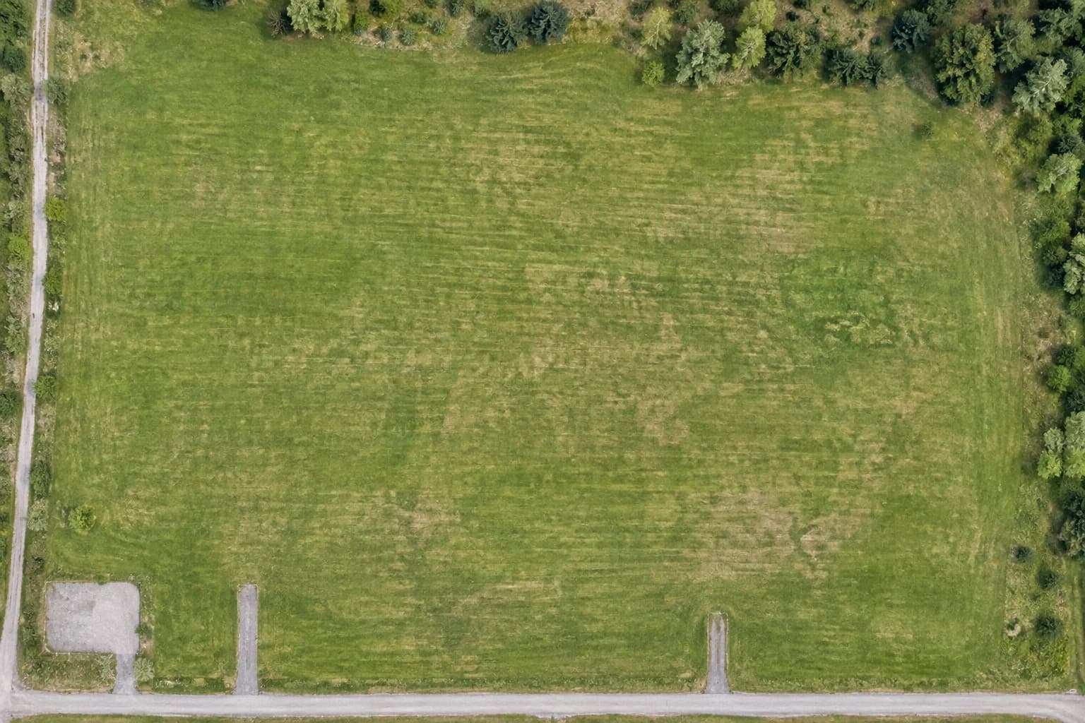 Tom gräsyta med tillfartsvägar och trädkronor i lodrät kartvy